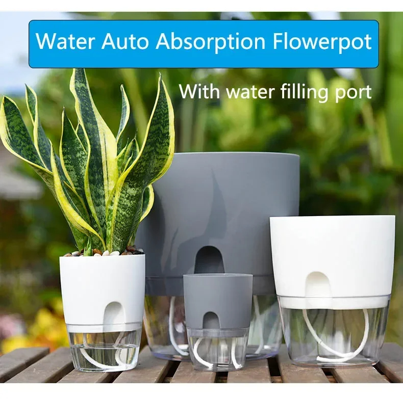 Aloe Vera Pot - Pot de fleur en plastique Transparent