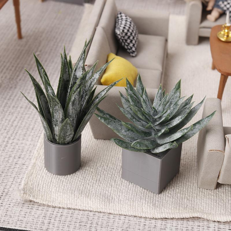 Aloe Vera Pot - Miniature Plante d'Aloe Vera en Pot,