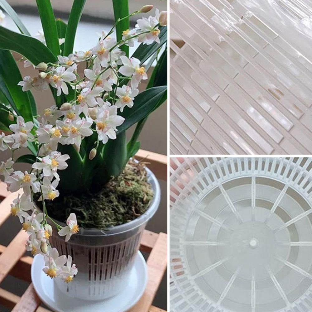 Aloe Vera Pot - Pot de fleurs Transparent en maille,