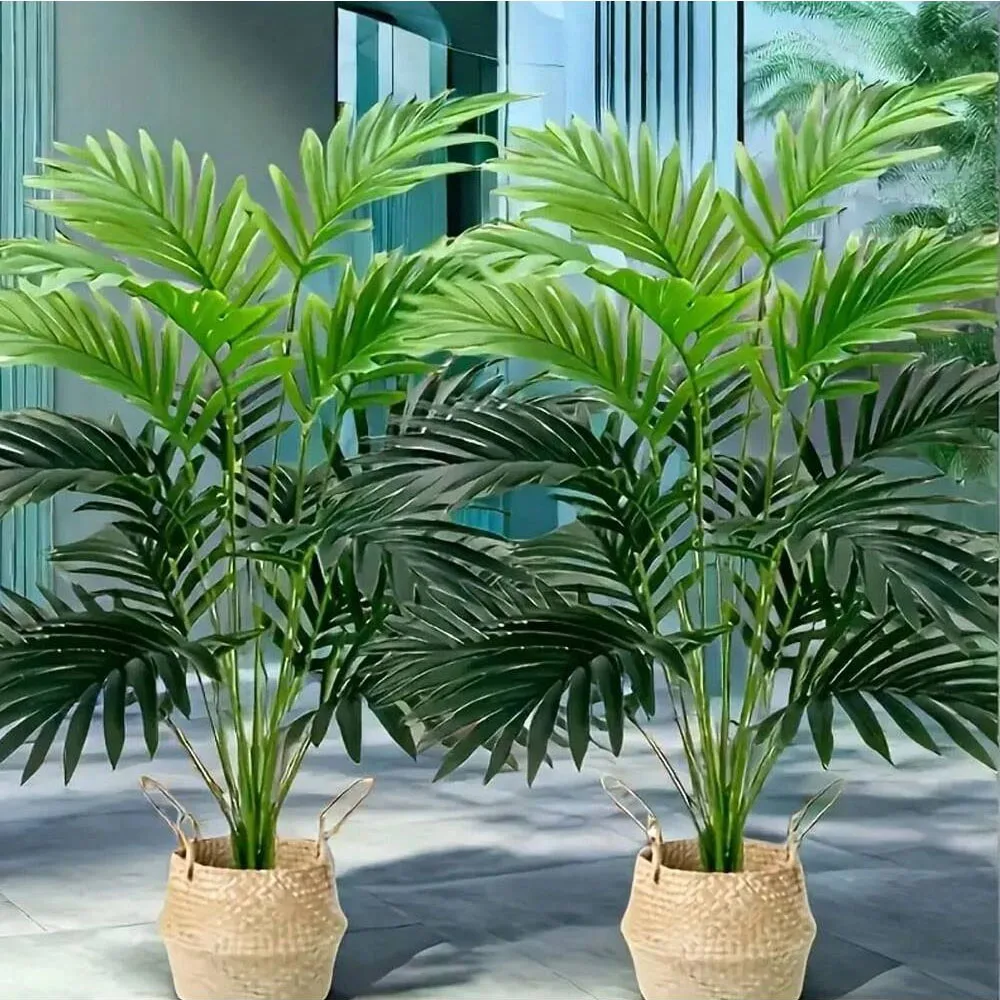 Monstera Adansonii - Simulation de palmier Areca à 36