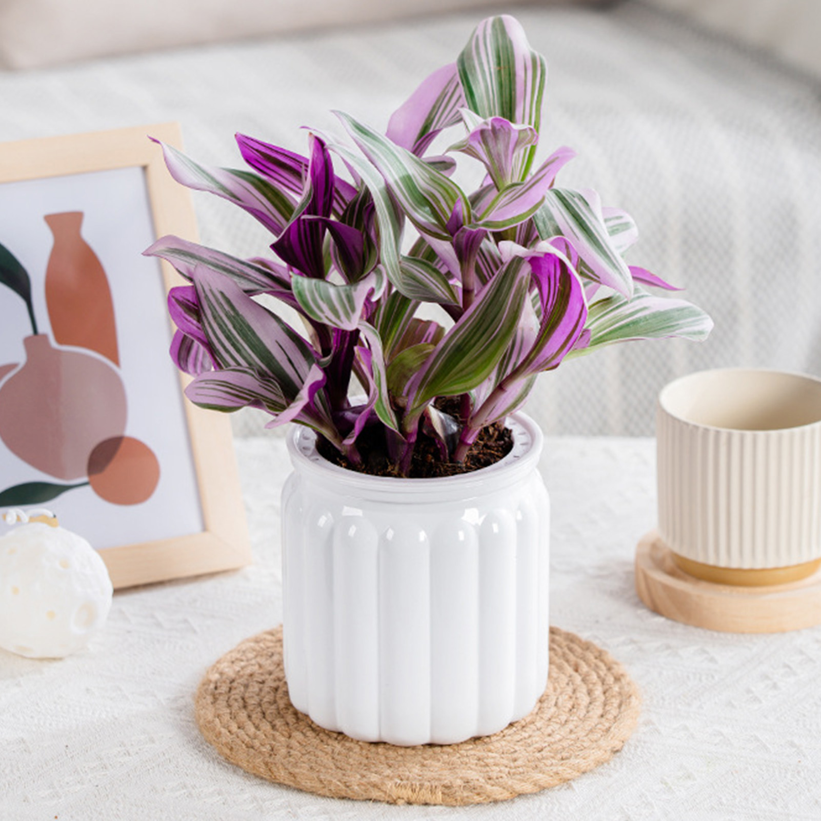 Aloe Vera Pot - Pot de fleur hydroponique paresseux automatique,