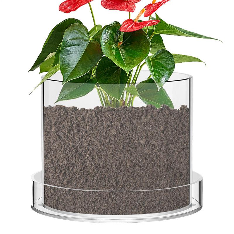 Aloe Vera Pot - Pots de plantes transparents avec Drainage,