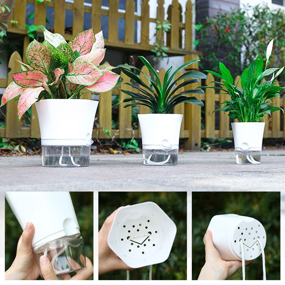 Aloe Vera Pot - Pot de fleur en plastique transparent