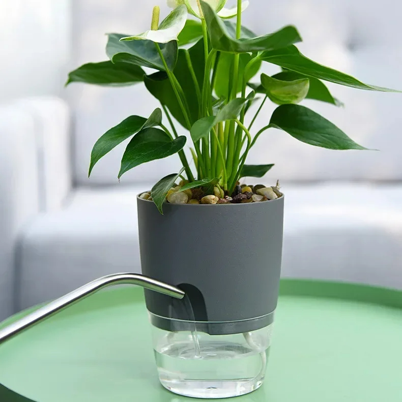 Pot de fleur en plastique Tran - Aloe Vera Pot avis et prix