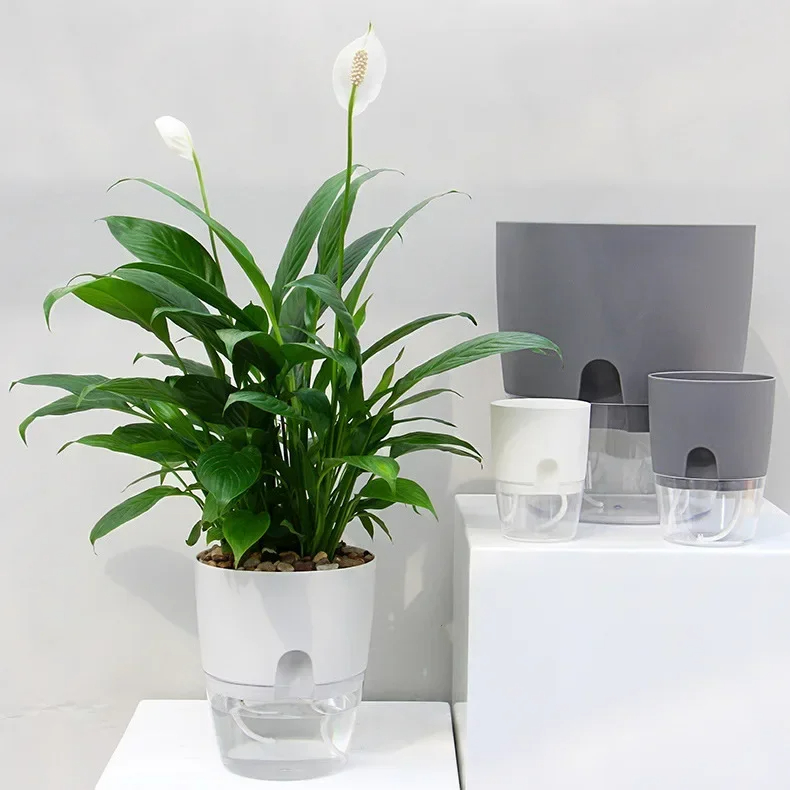 Pot de fleur en plastique Tran - Aloe Vera Pot avis et prix