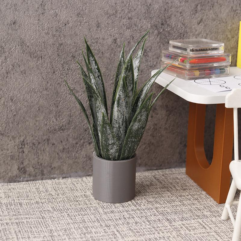 Miniature Plante d'Aloe Vera e - Aloe Vera Pot avis et prix