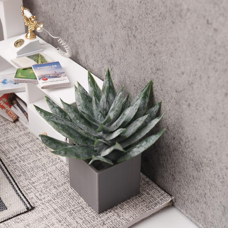 Miniature Plante d'Aloe Vera e - Aloe Vera Pot avis et prix
