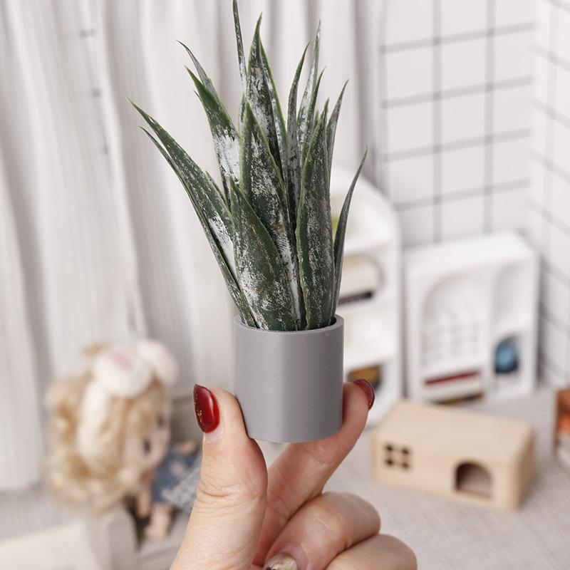 Miniature Plante d'Aloe Vera e - Aloe Vera Pot avis et prix