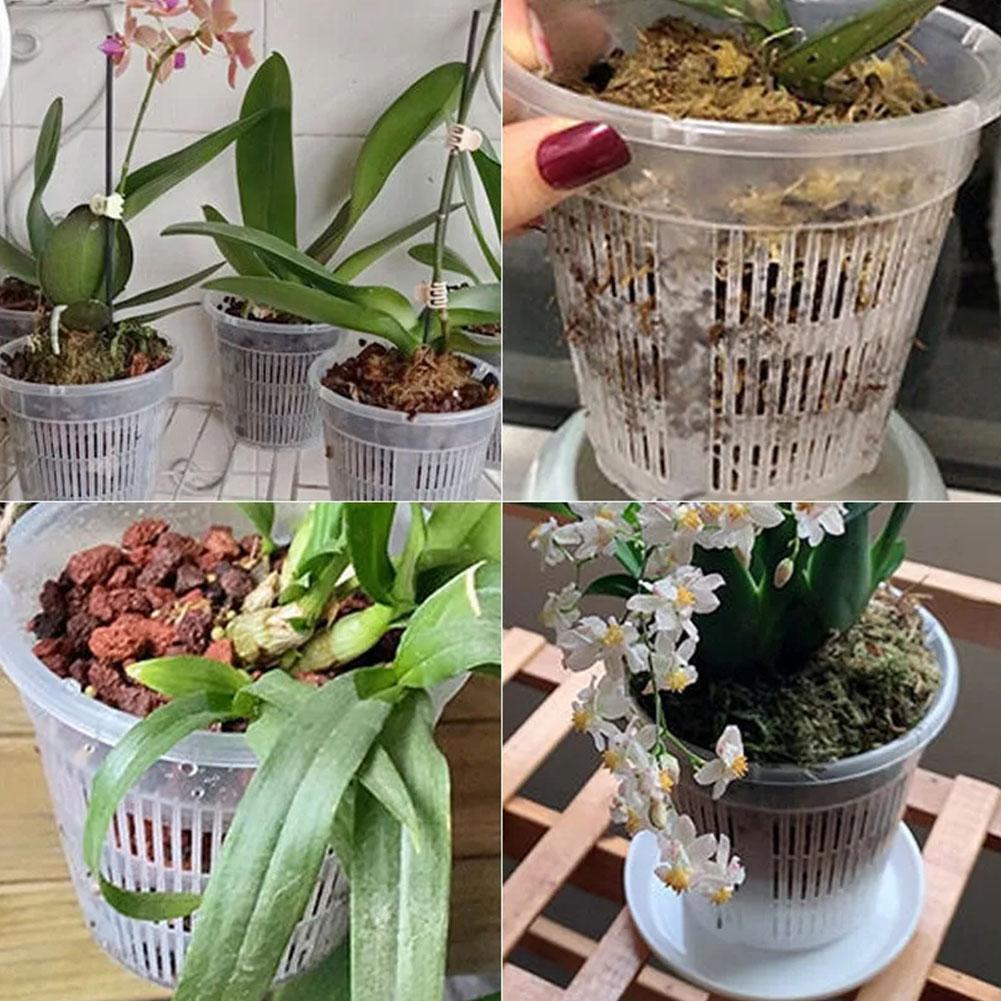 Pot de fleurs Transparent en m - Aloe Vera Pot avis et prix
