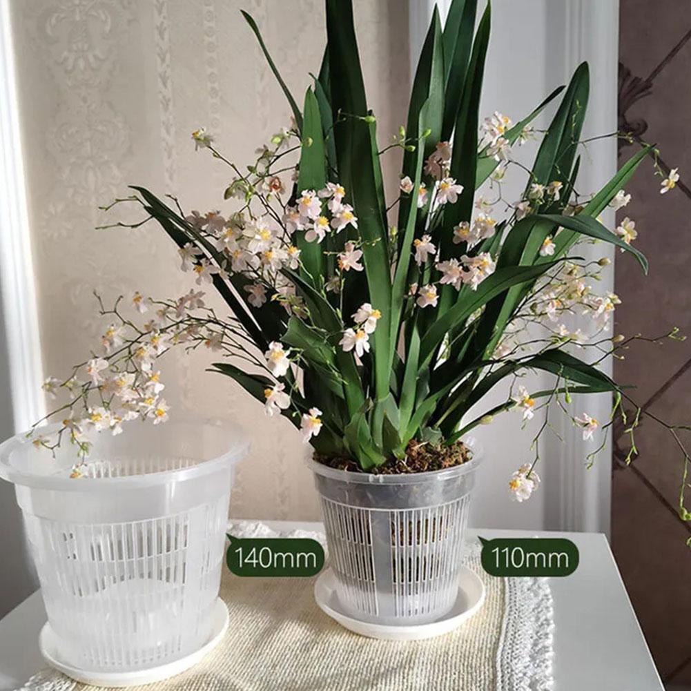 Pot de fleurs Transparent en m - Aloe Vera Pot avis et prix