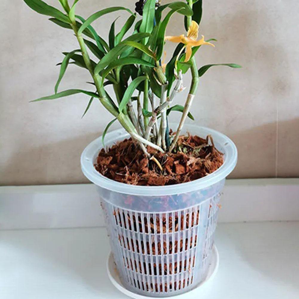 Pot de fleurs Transparent en m - Aloe Vera Pot avis et prix