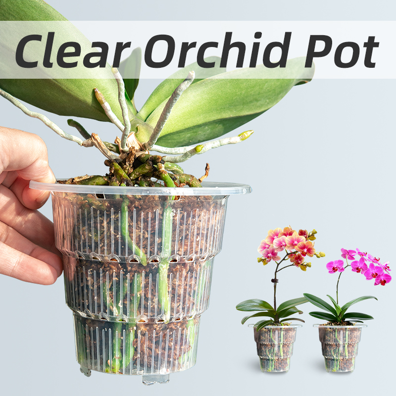 Meshpot-Pots d'orchidées en pl - Aloe Vera Pot avis et prix