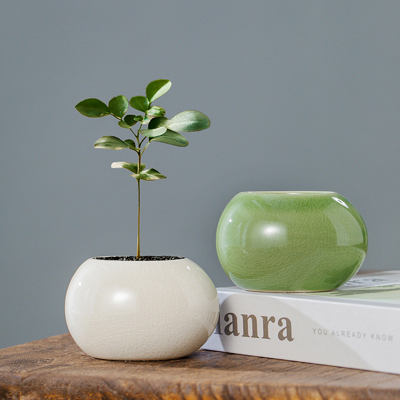 Pot de fleurs en céramique gla - Aloe Vera Pot avis et prix