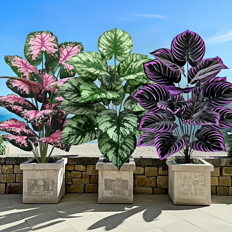 Grand ensemble de plantes vert - Monstera Adansonii avis et prix