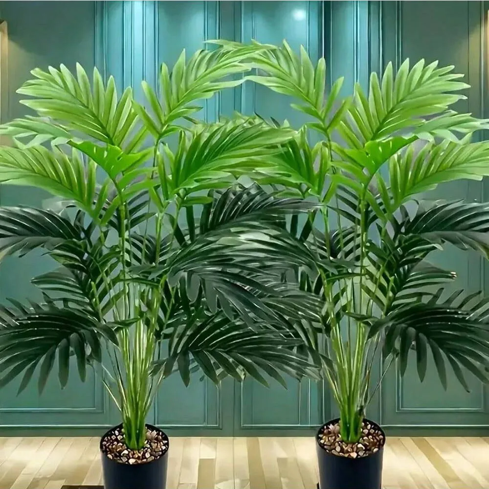 Simulation de palmier Areca à  - Monstera Adansonii avis et prix