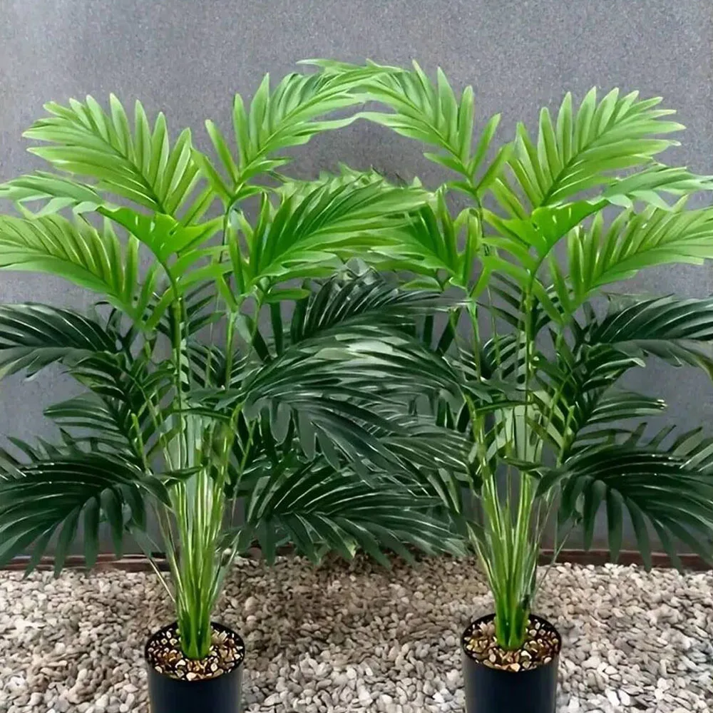 Simulation de palmier Areca à  - Monstera Adansonii avis et prix
