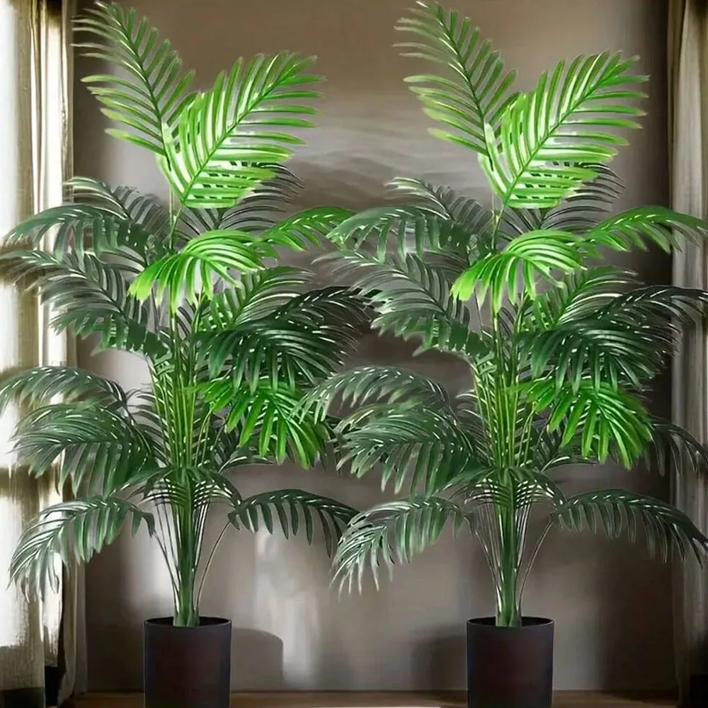 Simulation de palmier Areca à  - Monstera Adansonii avis et prix