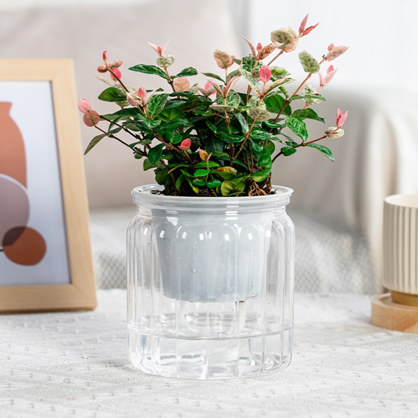 Pot de fleur hydroponique pare - Aloe Vera Pot avis et prix