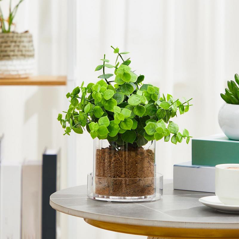 Pots de plantes transparents a - Aloe Vera Pot avis et prix