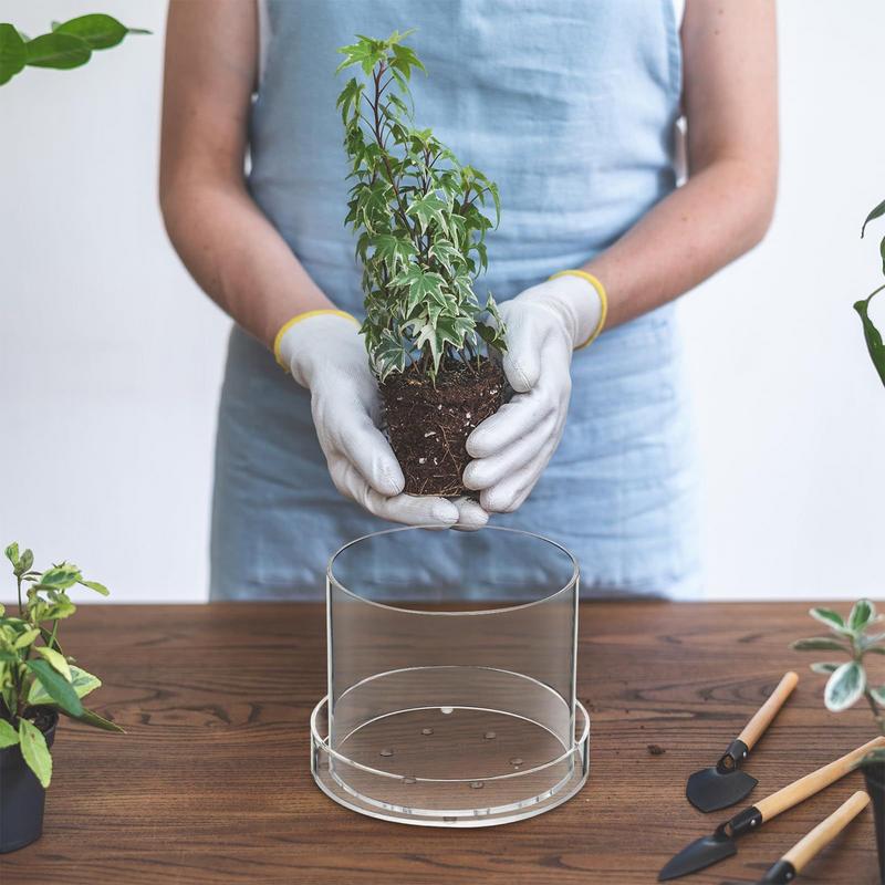 Pots de plantes transparents a - Aloe Vera Pot avis et prix
