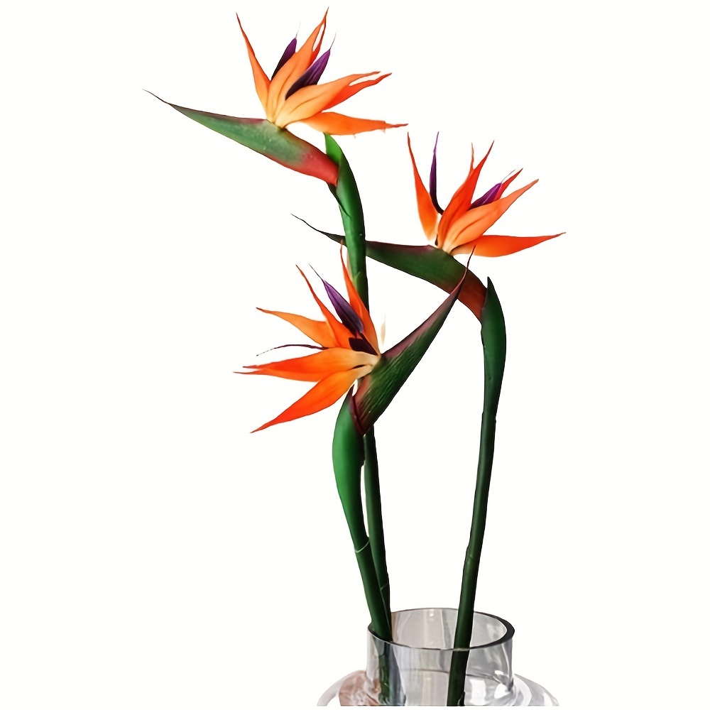 Fleurs artificielles d'oiseau  - Bird Paradise Strelitzia avis et prix