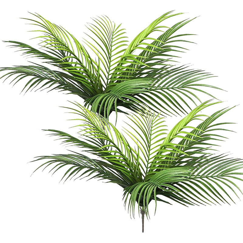 20,47 pouces 9 feuilles de pla - Monstera Adansonii avis et prix